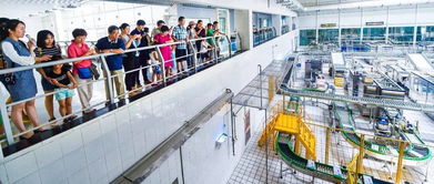 牛奶煮沸為何不見(jiàn)奶皮？餐飲企業(yè)這樣解答市民疑問(wèn)