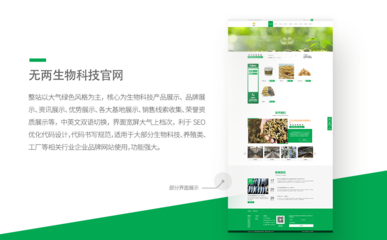 ViSNature Bio-Labs – 綠色寬屏中英文官網(wǎng)設(shè)計理念